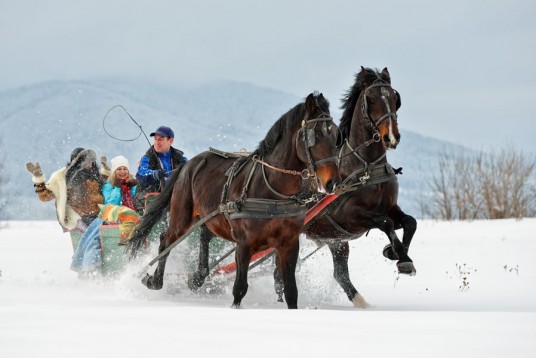 Horse sleigh ride in Flachau